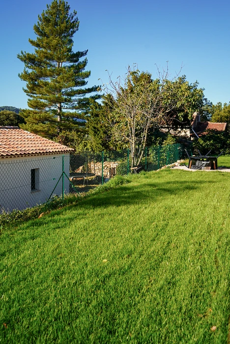 Jardin résidentiel ensoleillé, pelouse verte tondue, petit bâtiment annexe blanc avec toit en tuiles canal terre cuite, clôture à mailles losangées galvanisée sur poteaux verts, arbuste sec, pin parasol, chaise de jardin plastique noire, fond de végétation dense