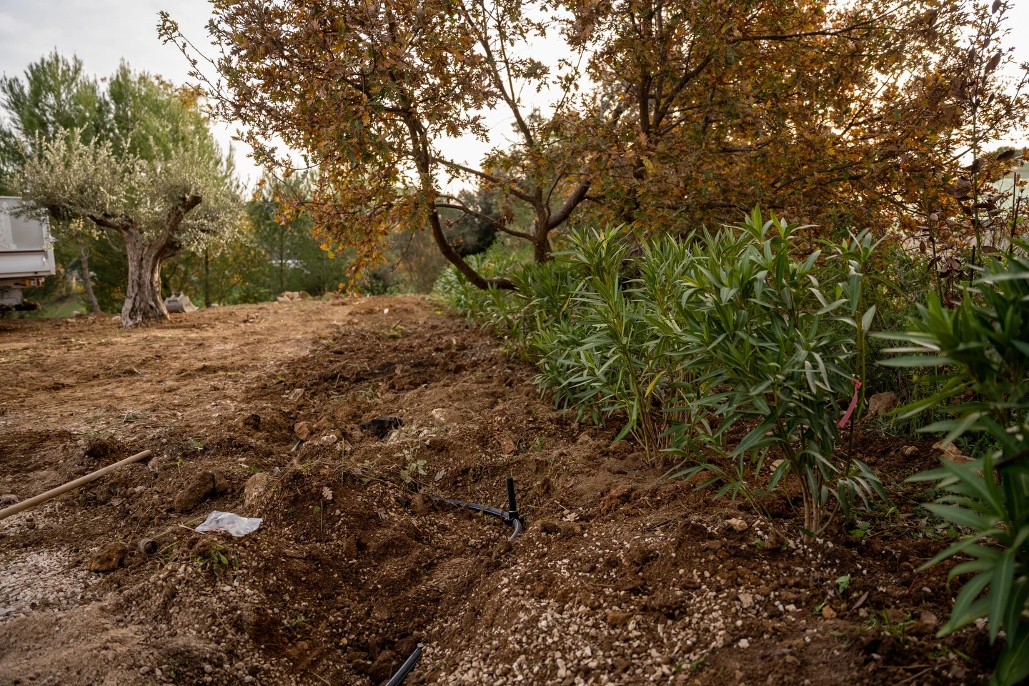 Jardin paysager avec allée courbe en pierre naturelle traversant une pelouse entretenue