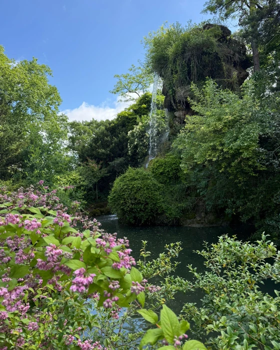 Jardin méditerranéen ensoleillé avec olivier centenaire au premier plan, pelouse synthétique verte, muret en pierre calcaire taillée
