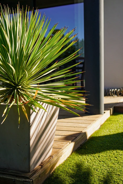 Jardin résidentiel moderne avec terrasse couverte aménagée, salon de jardin en teck, pelouse entretenue et haies taillées