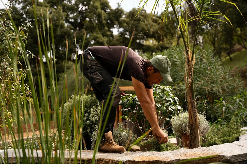 Jardin en terrasses avec escalier en pierre naturelle et murets de soutènement