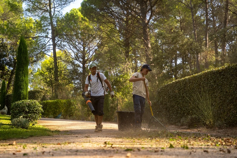 Scène extérieure montrant une main protégeant des jeunes pousses vertes émergeant du sol