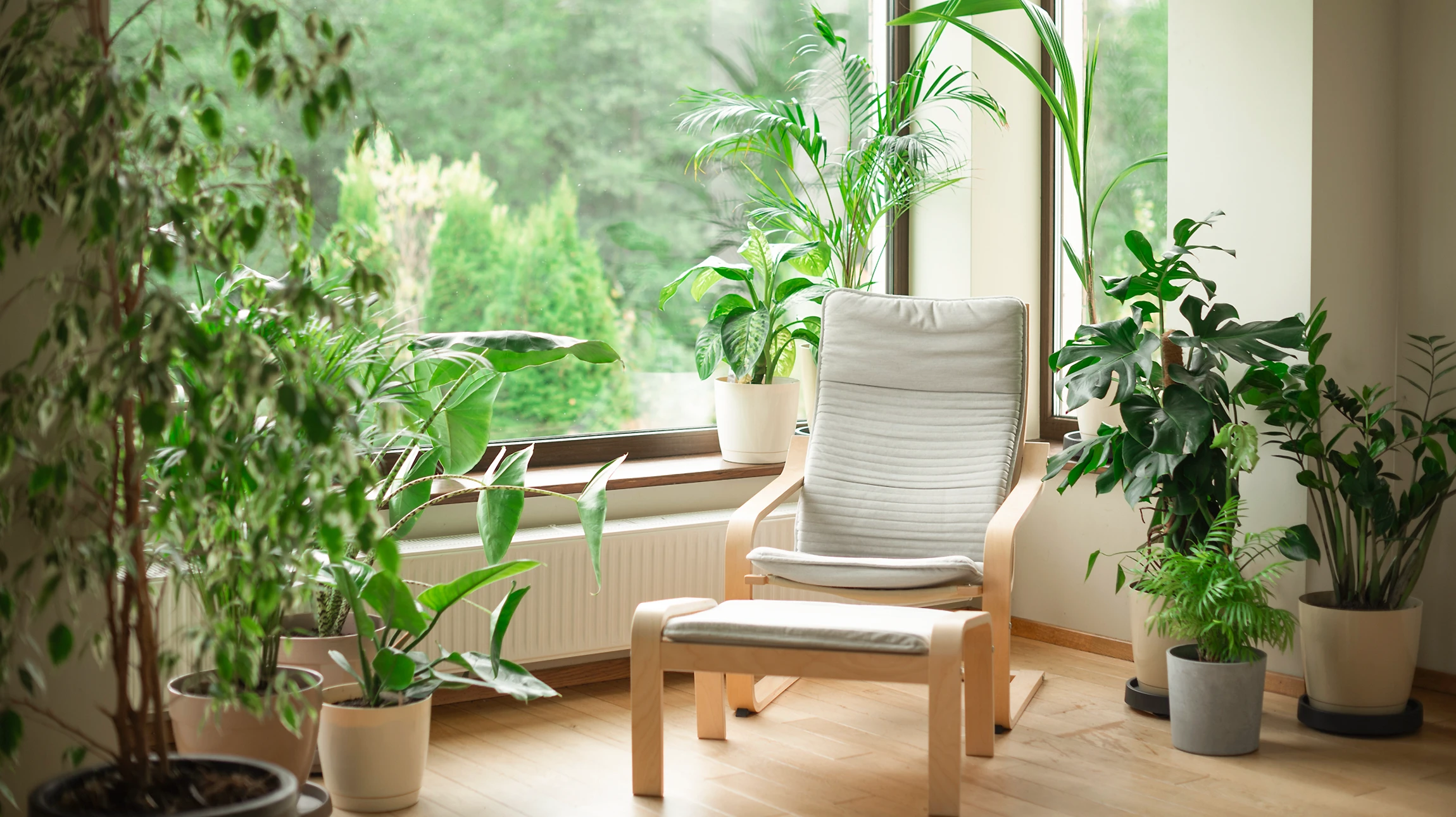 Photographie haute résolution d'un aménagement paysager extérieur professionnel : un jardin moderne avec terrasse en bois ou dallage, parterre paysagé avec arbustes et vivaces bien structurés, possiblement un muret ou élément de maçonnerie paysagère, photographié en lumière naturelle de qualité professionnelle. La scène doit montrer clairement un travail de création et d'aménagement d'espace extérieur de haut niveau, représentatif des réalisations de Sergent Paysage.