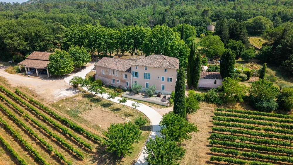 Jardin résidentiel ensoleillé, pelouse verte tondue, petit bâtiment annexe blanc avec toit en tuiles canal terre cuite, clôture à mailles losangées galvanisée sur poteaux verts, arbuste sec, pin parasol, chaise de jardin plastique noire, fond de végétation dense