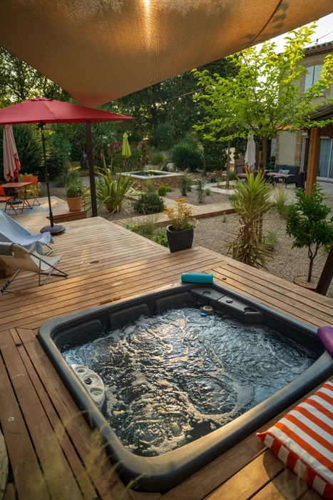 Jardin méditerranéen ensoleillé avec un olivier centenaire au tronc noueux et tortueux au premier plan