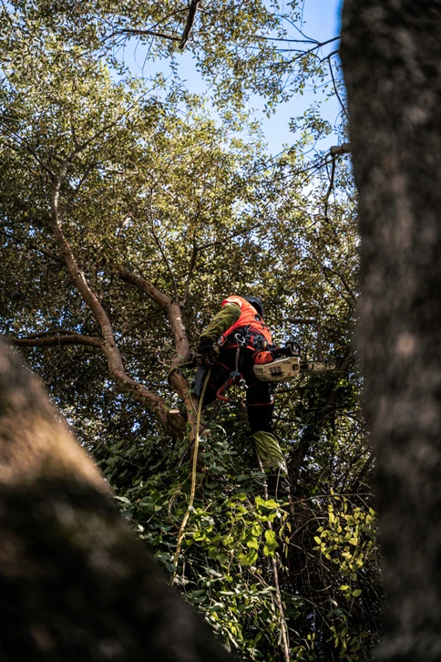 Chantier extérieur de construction d'une terrasse en bois dans jardin résidentiel clôturé